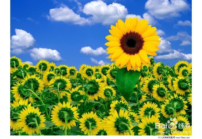 人生顺口溜！真经典