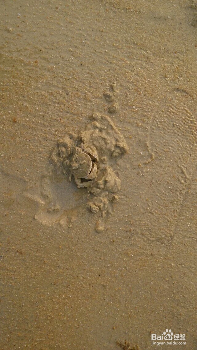 深圳大梅沙看海
