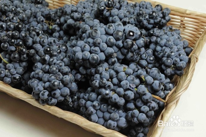 自制养生酒之---如何自制葡萄酒？