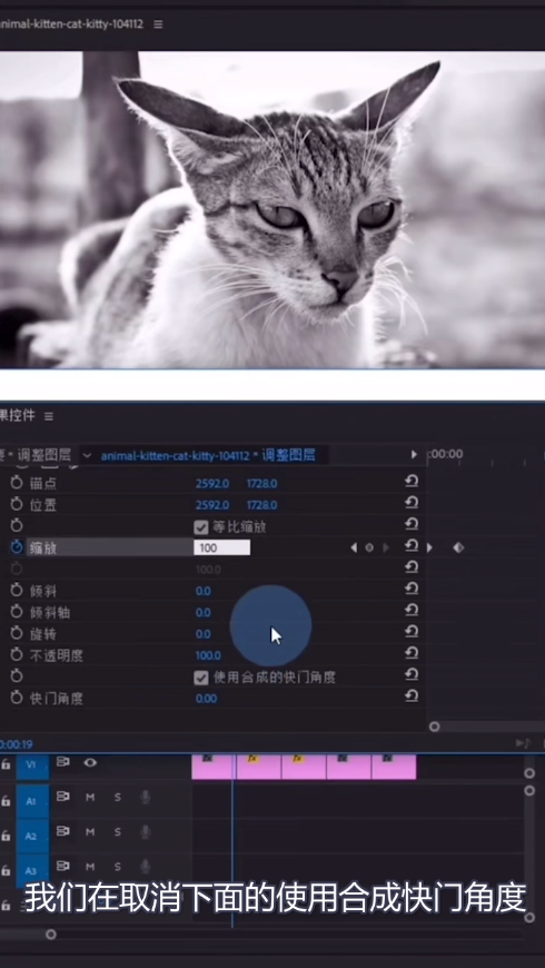 教你pr制作缩放卡点效果