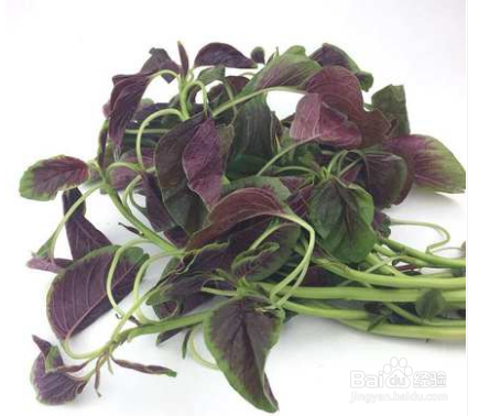 万万没想到这些野菜还是癌症的克星