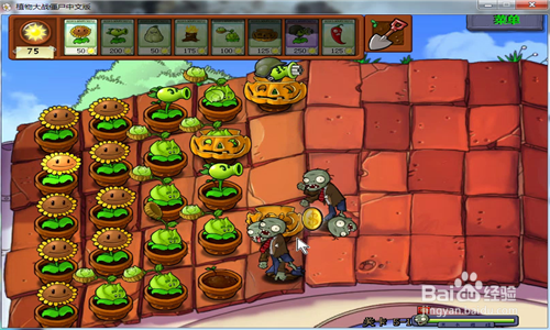 植物大战僵尸之【卷心菜投手】怎么玩?