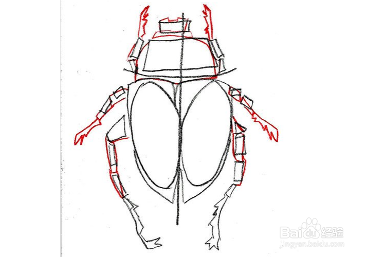 怎么画甲虫?