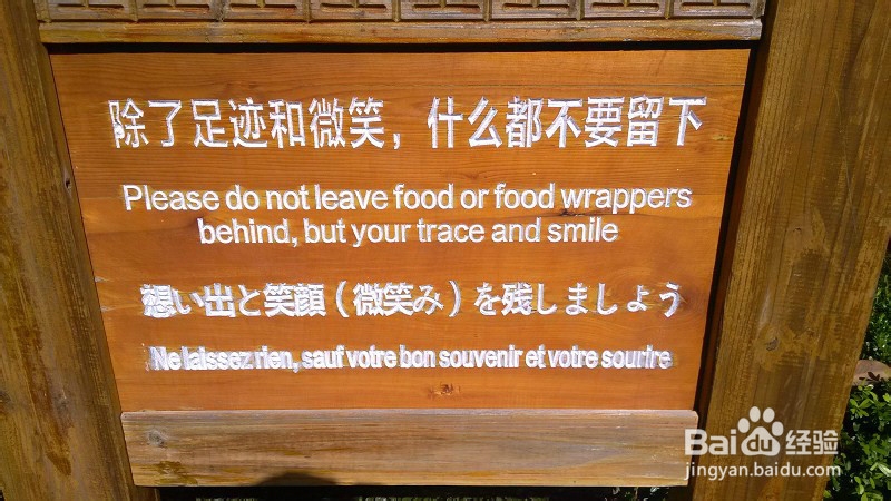 云南哪些地方好玩：[3]云南第三天-丽江