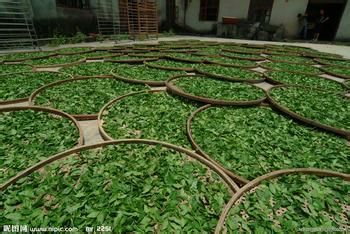 怎么去除房间异味