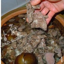 清洗猪肺有窍门--罗汉果杏仁猪肺汤