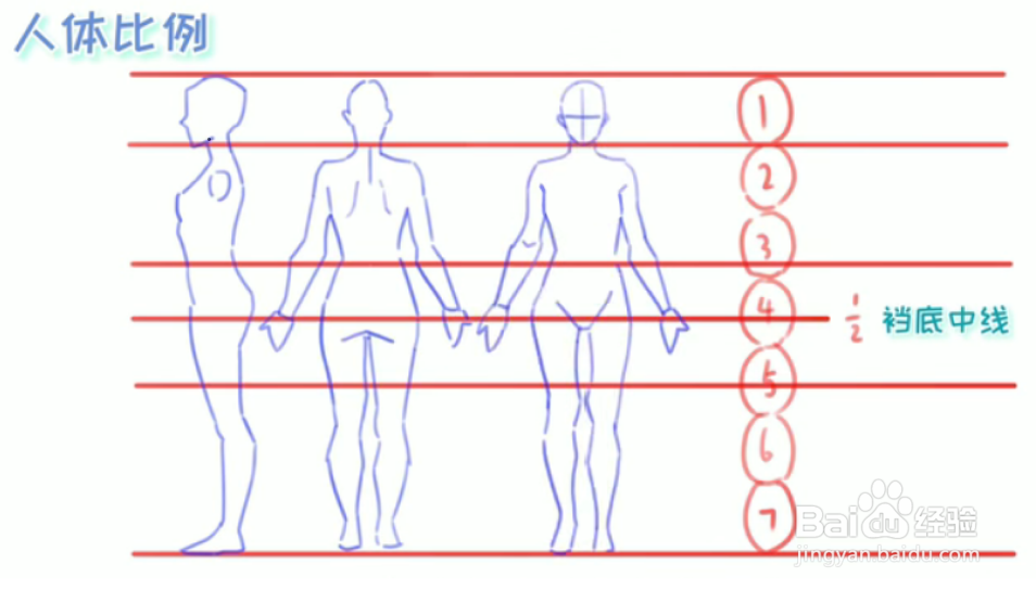 绘伴板绘教程-动漫人物比例画法