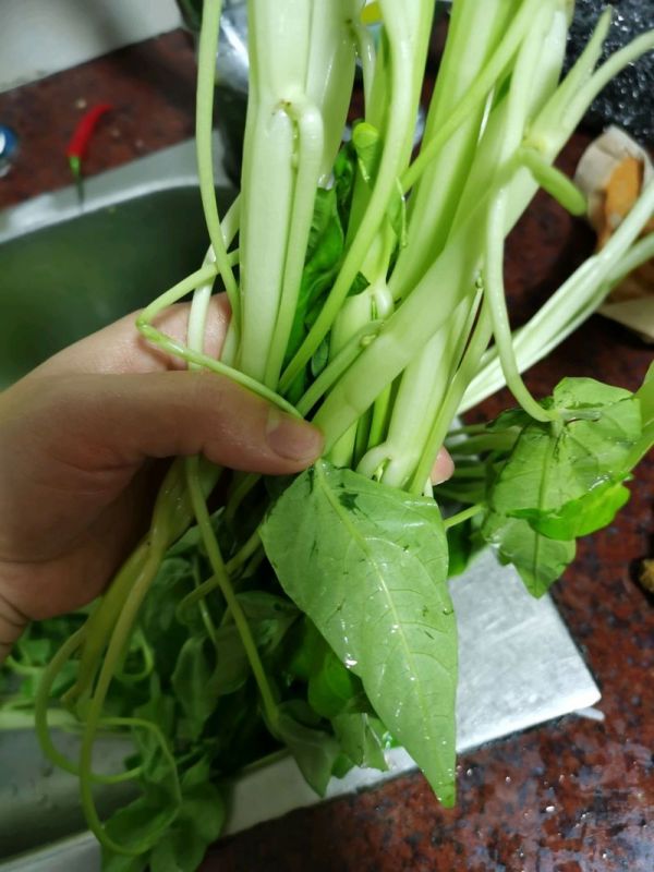椒丝腐乳炒通菜