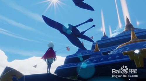 光遇幽光山洞在哪