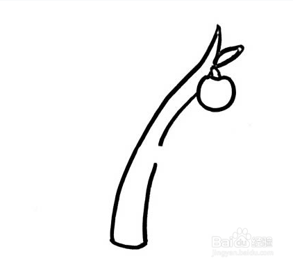 如何画苹果树简笔画?