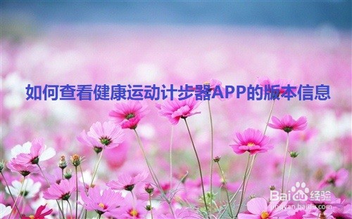 如何查看健康运动计步器APP的版本信息