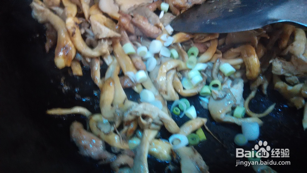 好吃的平菇炒肉做法