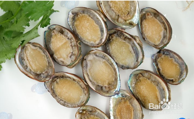 蒜蓉粉丝蒸北部湾小鲍鱼