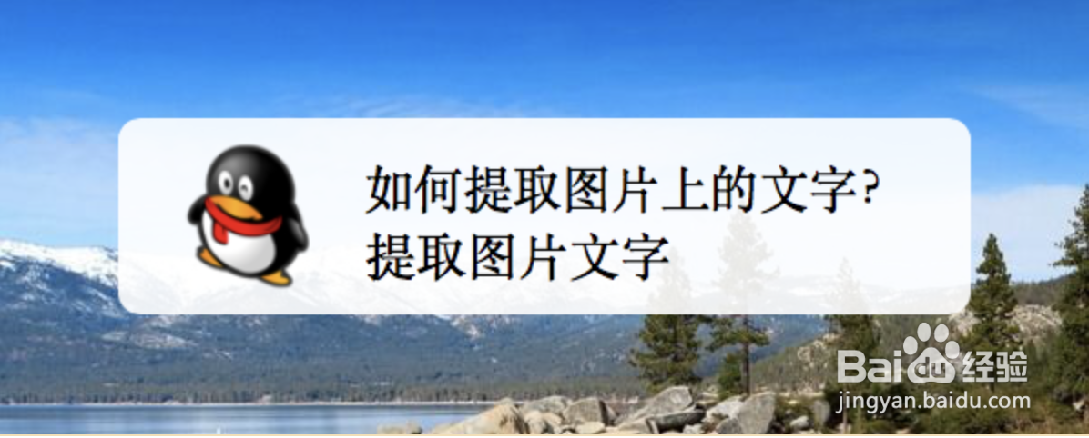 如何提取图片上的文字