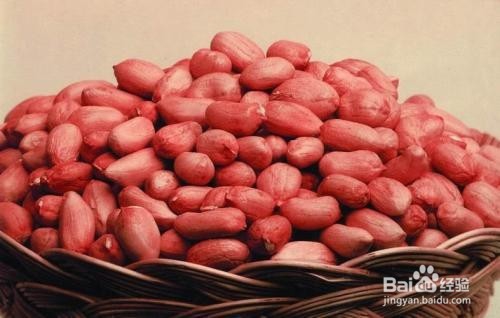 狗狗的饮食禁忌这8点要禁忌