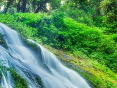 正能量文案短句有哪些