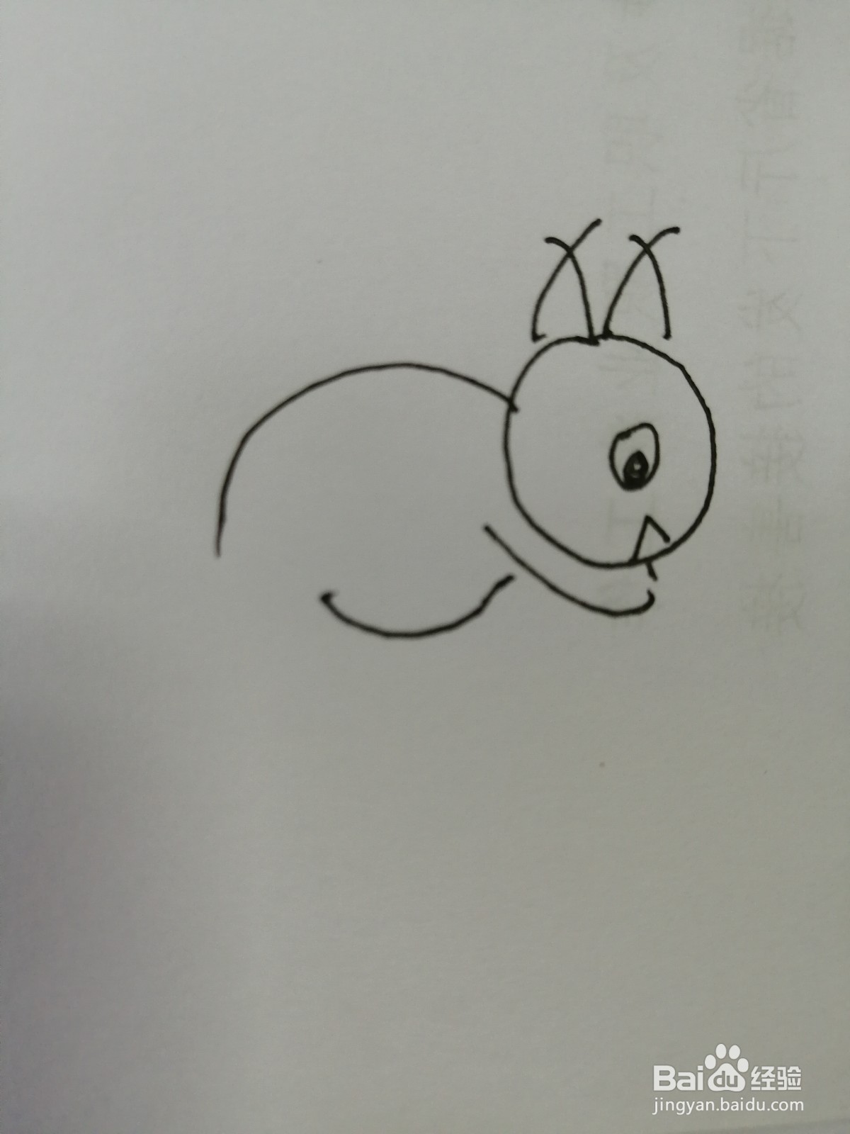 简笔画小松鼠怎么画