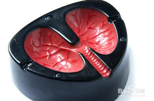 愚人节到啦，越愚越开心，挑选几件整蛊礼物吧