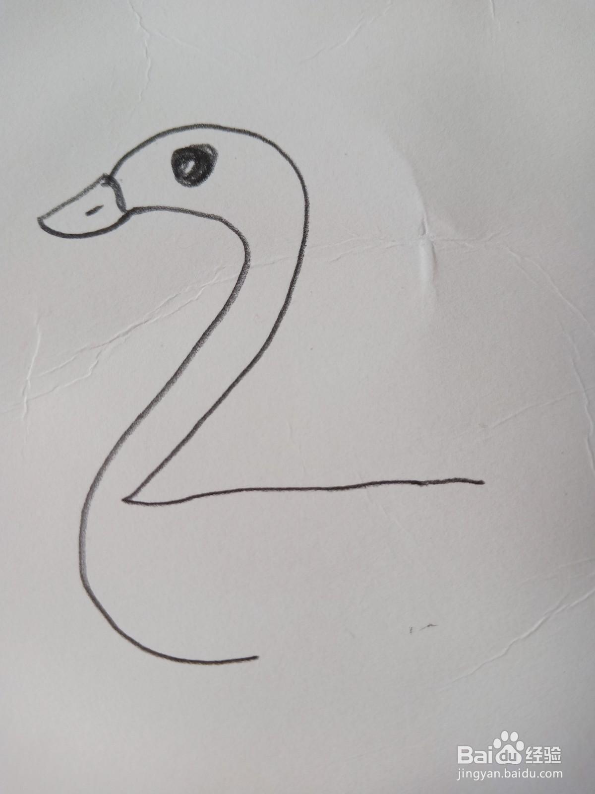鸭子的简笔画