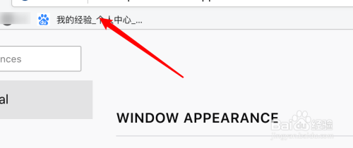 水狐浏览器怎么设置书签栏显示在地址栏下方?