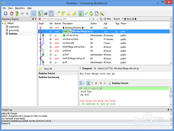 TortoiseHg-不错的版本管理工具
