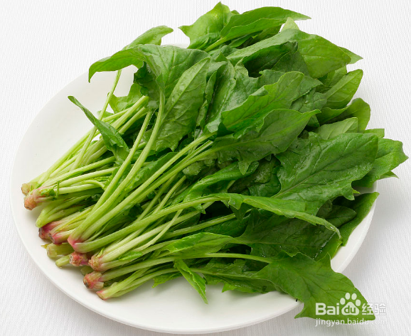 吃哪些食物对孩子的眼睛好