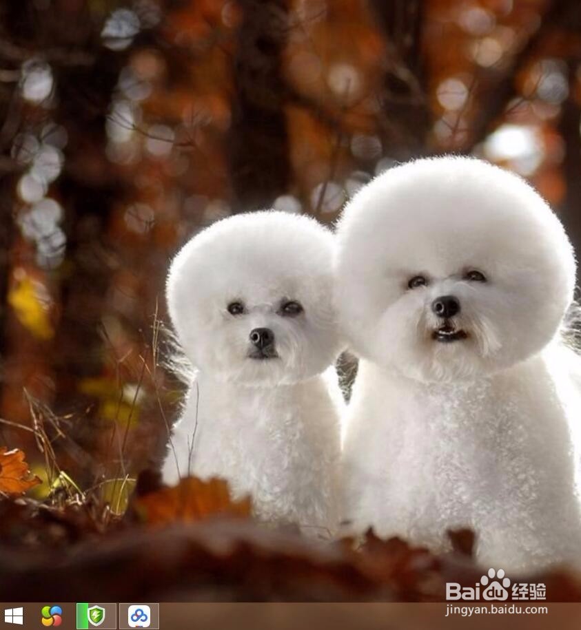 桌面图标全部消失了怎样恢复