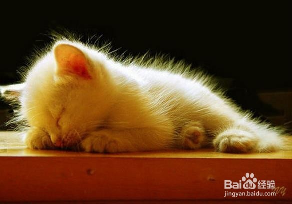 喝啤酒不仅能降血压还有更多的好处是真的吗