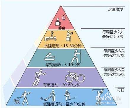 脂肪是如何形成的