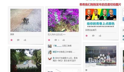 怎么跟你的网站引入大量的流量