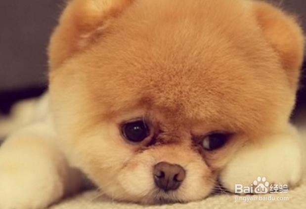 消化性溃疡患者住院情况是怎样的