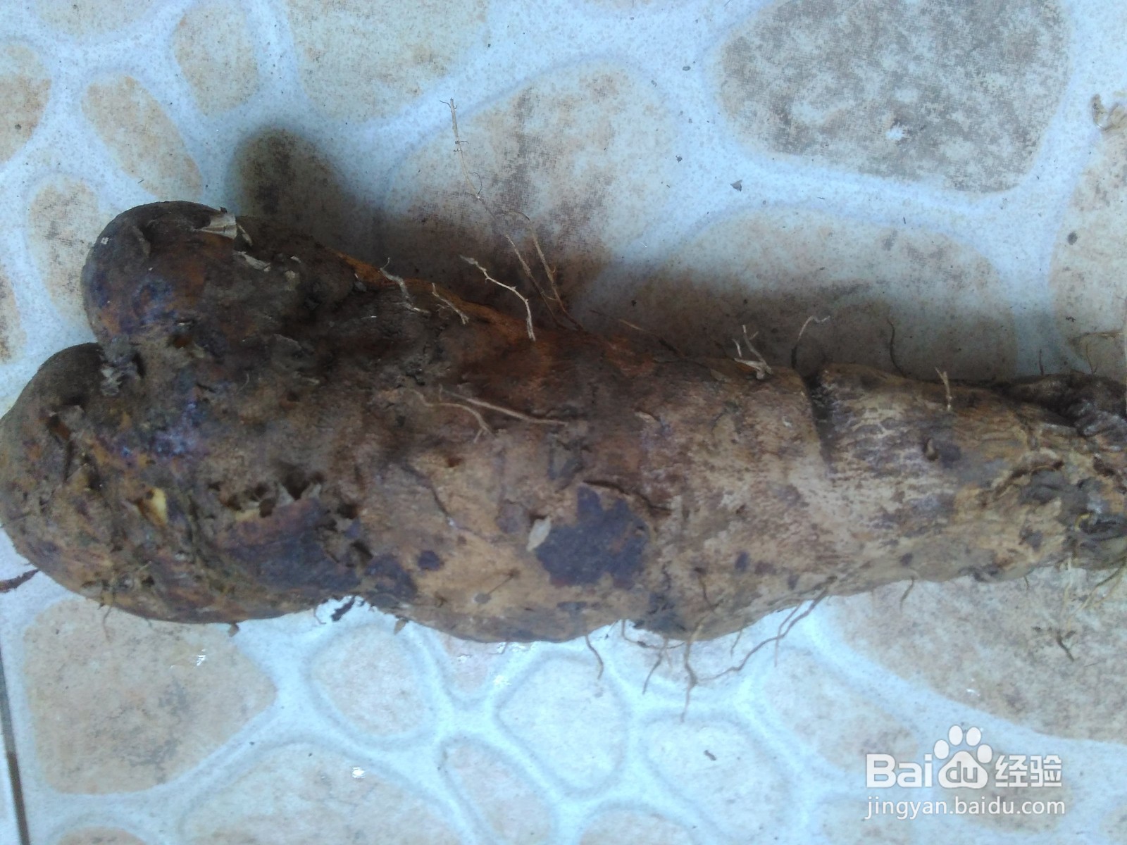 大薯小煎饼的做法