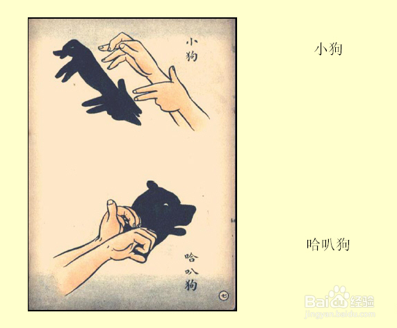 睡前跟孩子一起玩手影游戏吧