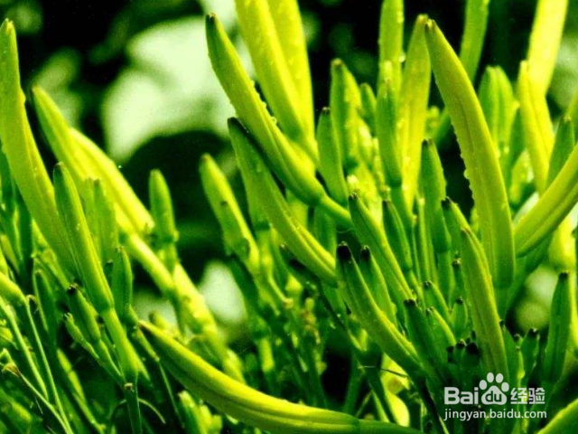 应该如何培养正确的心态？