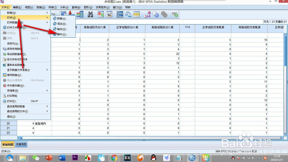 如何打开SPSS中的脚本命令？
