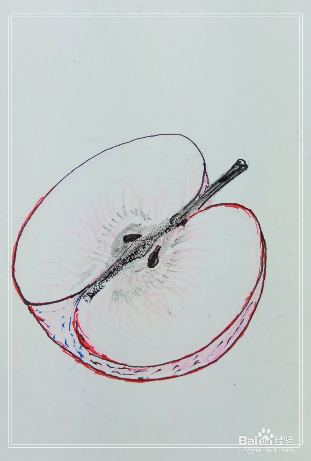 怎样画简笔画“半个苹果”？