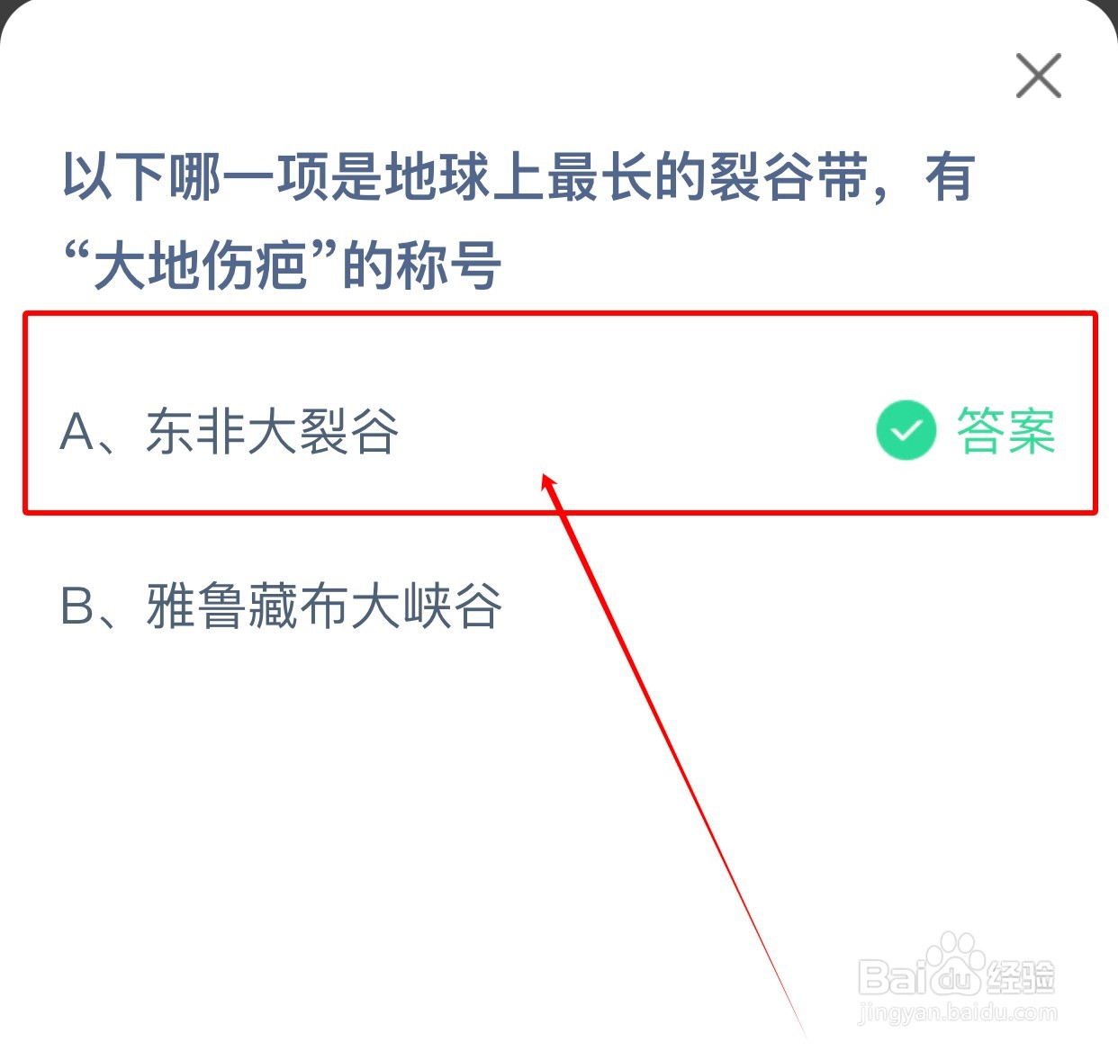 地球上最长的裂谷带被称为“大地伤疤”的是？