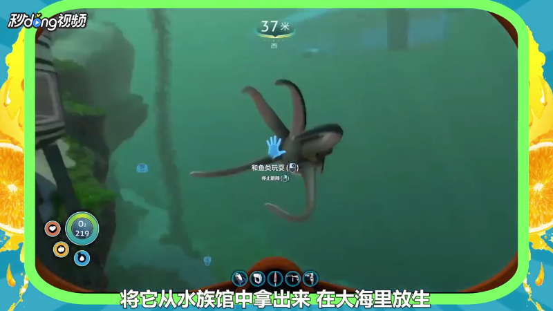 深海迷航抱抱鱼的作用