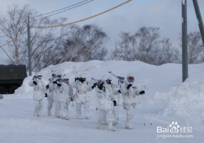 一条性价比爆棚的万元以下日本北海道观雪路线
