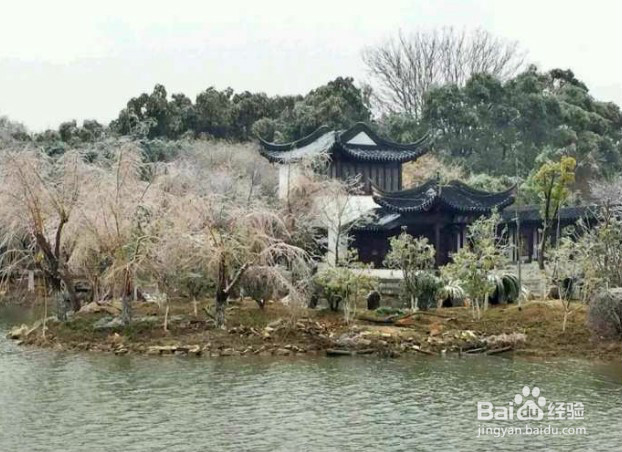 <b>南昌梅湖冬雨后的风景, 既然如此的美</b>