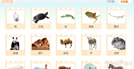 闪卡简介、分类