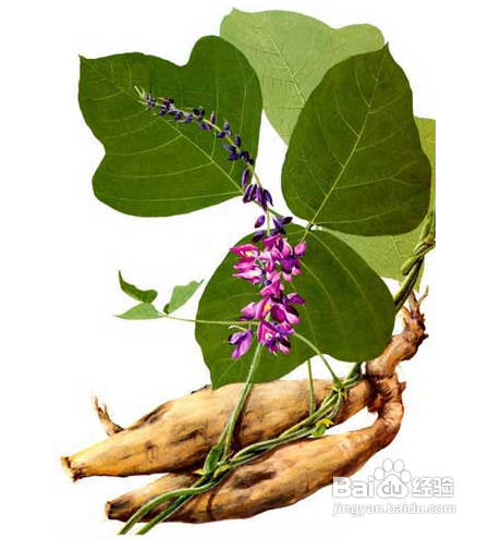 怎样DIY美白去黄面膜让肌肤重现光彩