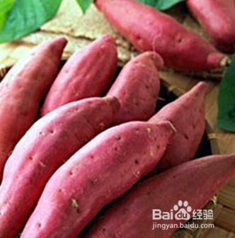 减肥期间，用它代替主食事半功倍