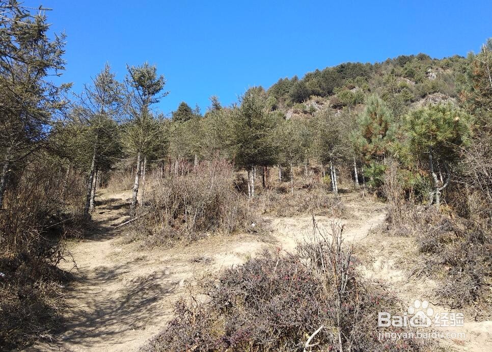 二郎山红岩顶徒步攻略