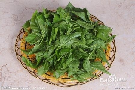 肠清茶哪个牌子好