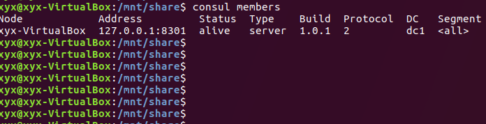 consul学习之consul运行代理_02