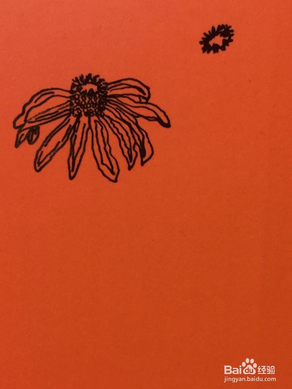插画教程之凋谢的花
