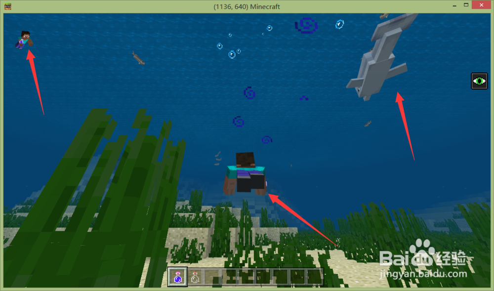 我的世界海洋之约怎么玩