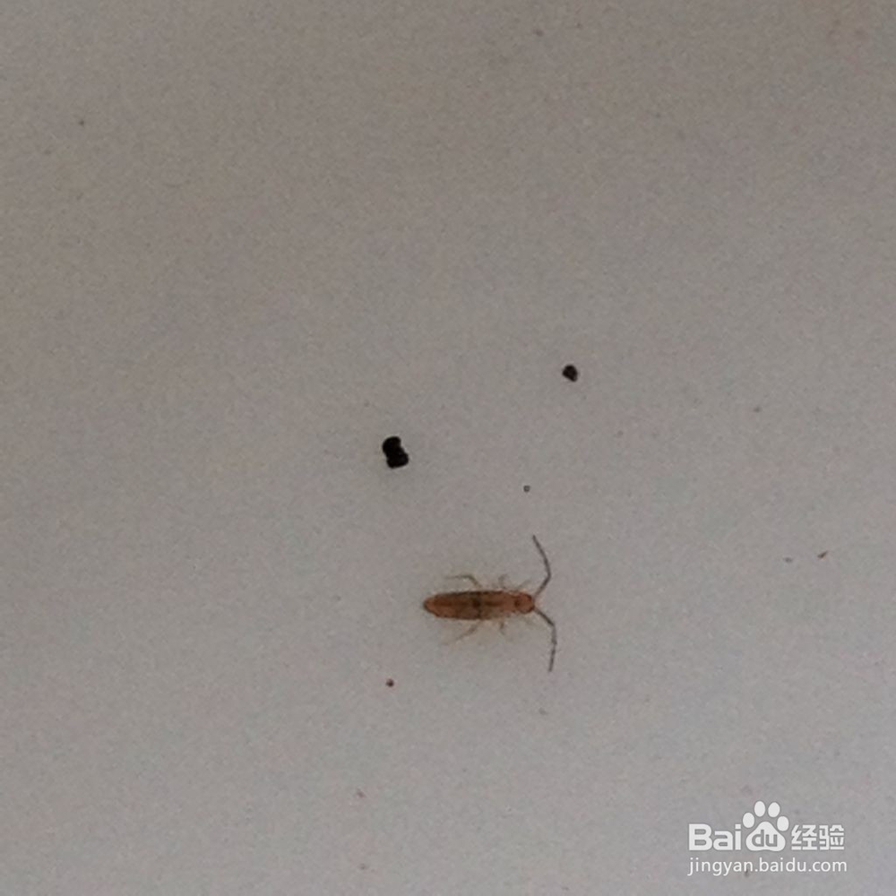 夏至健康小贴士