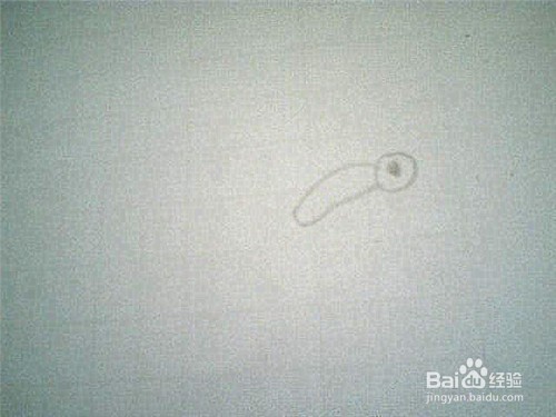 简笔画蝴蝶的画法：